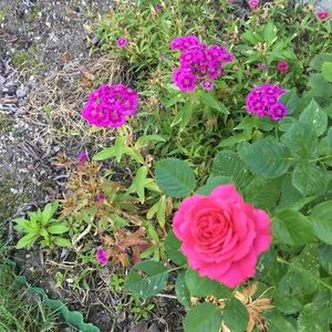 Meet your Posher, Alanna